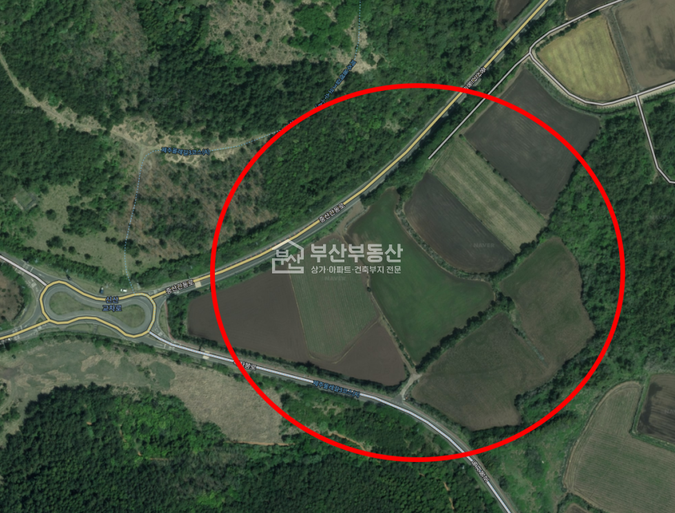 제주 서귀포시 성산읍 신산리 제주도 투자용 땅매매 매매 매물번호 10786 사진 1
