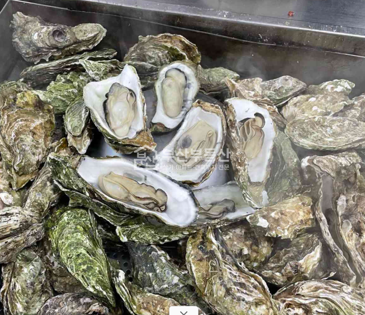 부산 연제구 거제동 거제시장상권, 포차, 오뎅탕, 과메기, 굴요리 추천 월세 매물번호 11175 사진 3