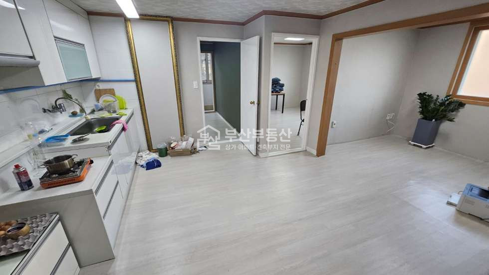 부산 동래구 사직동 586-3 (대동빌라) 동래구 사직동 빌라매매, 초급매가 매매 매물번호 11126 사진 1